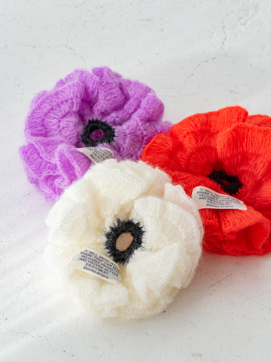 ACC – Solii + Solä